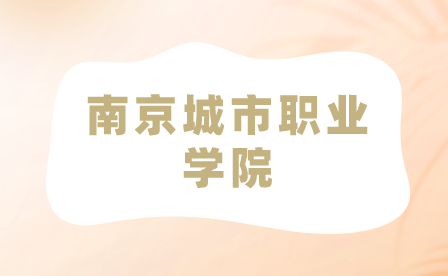 南京城市职业学院2020年对口单招、中职注册招生简章